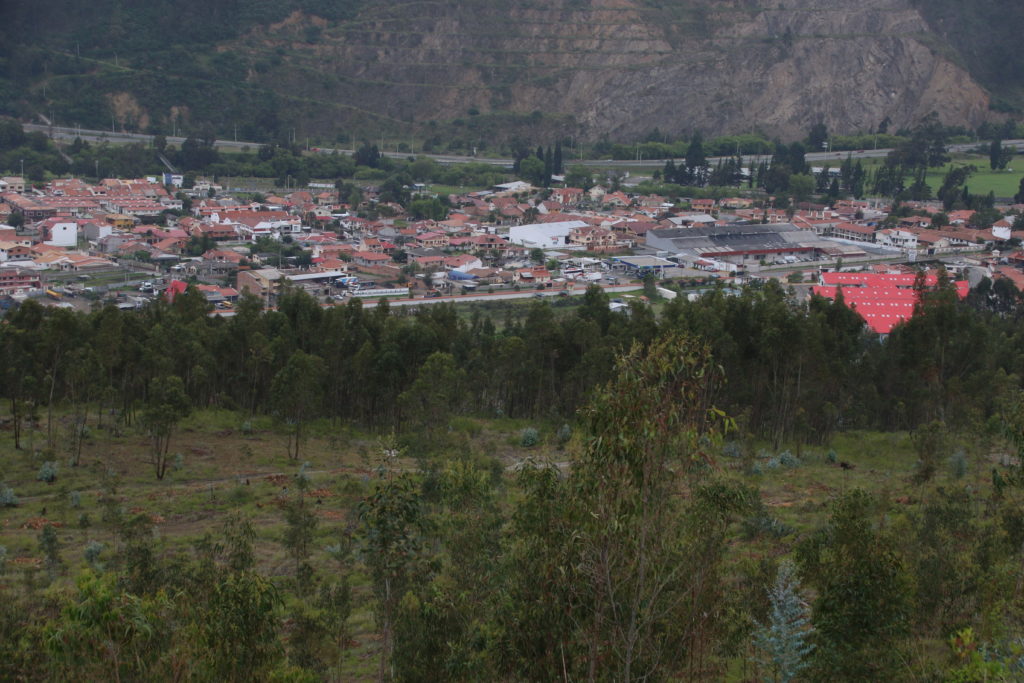 ALCA